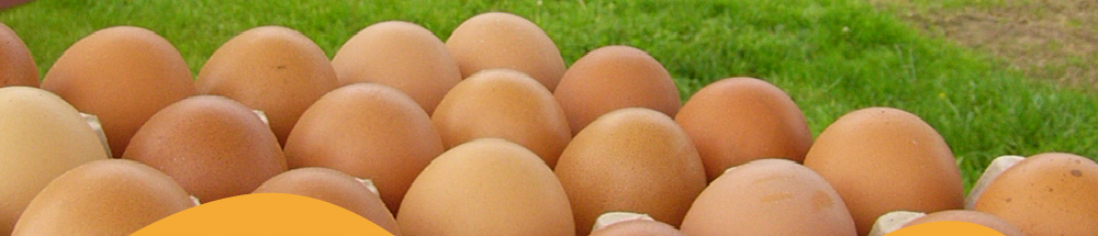 granja carapachay